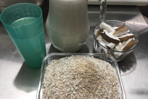 Receita de leite de coco caseiro fonte de vitaminas!