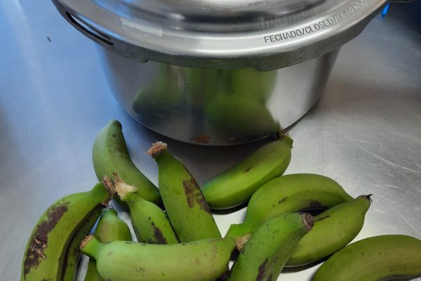 Oito motivos para consumir Biomassa de Banana Verde